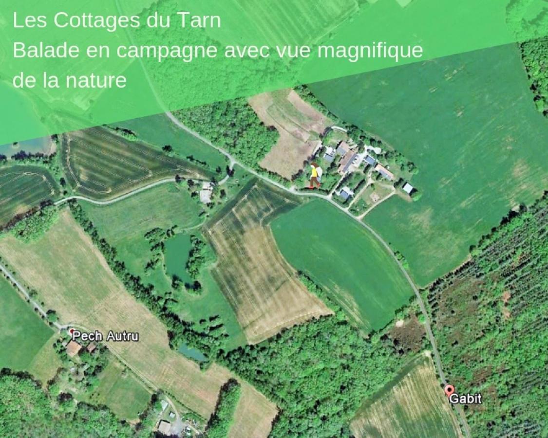 Le Grand Cottage Nature Piscine Chauffee Privee Du Tarn Entre Toulouse Et Albi & Les Cottages Du Tarn Peyrole Buitenkant foto